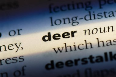 geyik Word'de bir sözlük. geyik kavramı