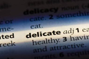 hassas tek kelimeyle bir sözlük. hassas kavramı