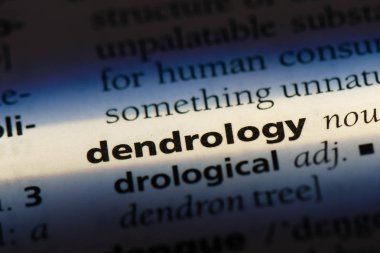 dendrology sözcük sözlüğe. dendrology kavramı