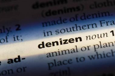 bir sözlüğü'ndeki sözcüğü müdavim. müdavim kavramı