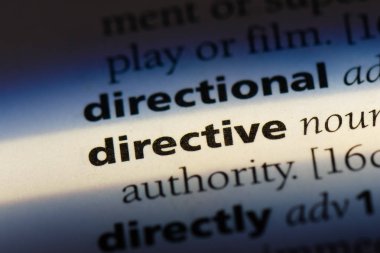 bir sözlüğü'ndeki yönergesi sözcüğü. yönerge kavramı