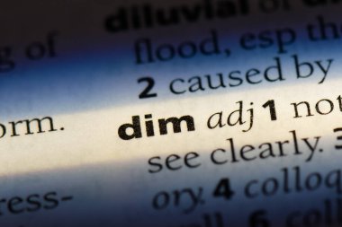 bir sözlüğü'ndeki sözcüğü dim. loş kavramı