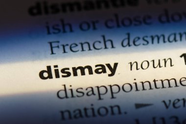 bir sözlüğü'ndeki dehşet sözcüğü. dehşet kavramı