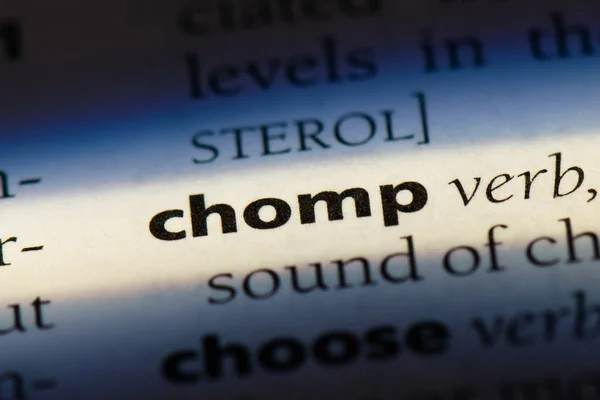 Chomp Wort Einem Wörterbuch Chomp Konzept — Stockfoto