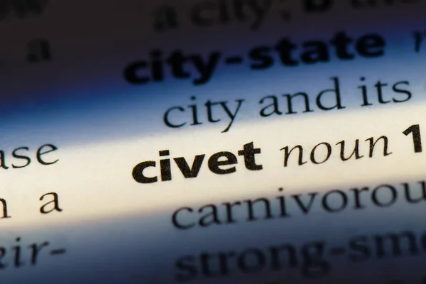 Palabra Civet Diccionario Concepto Civet —  Fotos de Stock