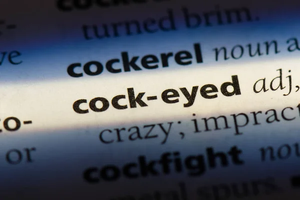 Una Palabra Con Ojos Pene Diccionario Concepto Ojos Gallo — Foto de Stock