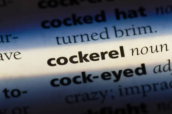 Cockerel Word Dictionary Cockerel Concept — Stock Photo, Image