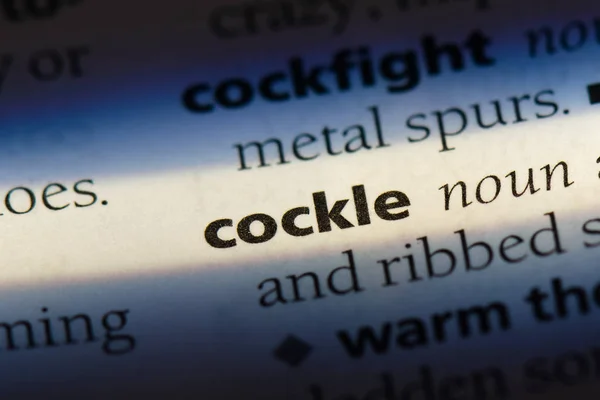Palavra Cockle Dicionário Conceito Cockle — Fotografia de Stock
