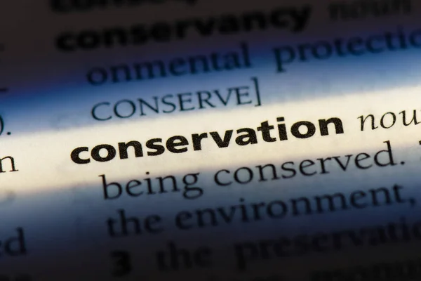 Mot Conservation Dans Dictionnaire Concept Conservation — Photo