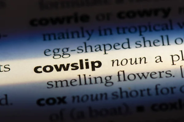 Cowslip Word Dictionary Cowslip Concept — Stock Photo, Image