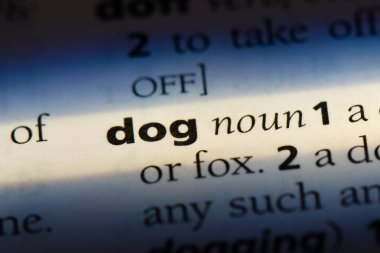 köpek Word'de bir sözlük. köpek kavramı