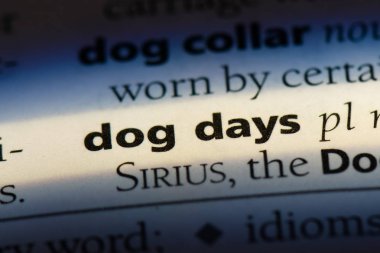 # Köpek günleri Word'de bir sözlük. # Köpek günleri kavramı