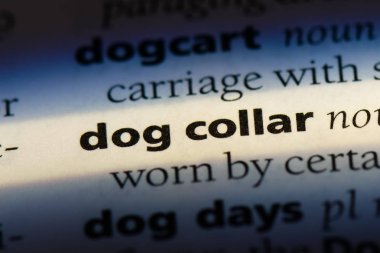 köpek tasması Word'de bir sözlük. köpek tasması kavramı