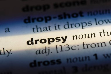 Lucius Word'de bir sözlük. Lucius kavramı