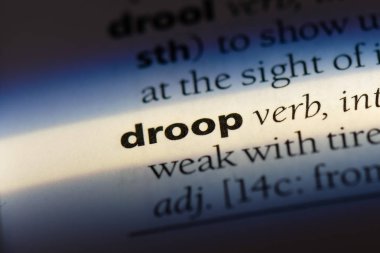 bir sözlüğü'ndeki sözcüğü sarkıt. kavram sarkıt