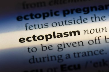 ektoplazma tek kelimeyle bir sözlük. ektoplazma kavramı