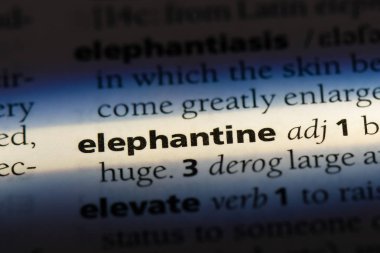 bir sözlüğü'ndeki fil sözcüğü. fil kavramı