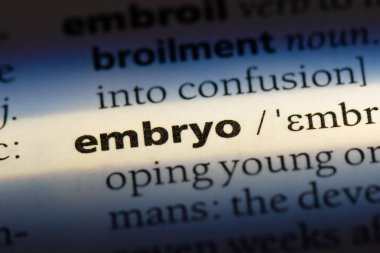 embriyo Word'de bir sözlük. embriyo kavramı
