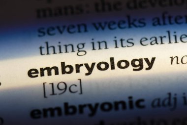Embriyoloji Word'de bir sözlük. Embriyoloji kavramı