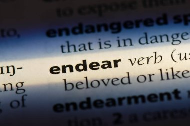 bir sözlüğü'ndeki sözcüğü sevdirmek. kavram sevdirmek