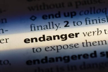 bir sözlüğü'ndeki sözcüğü tehlikeye atamam. kavram tehlikeye