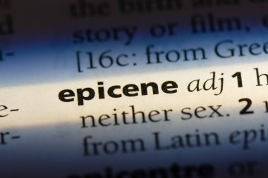 epicene tek kelimeyle bir sözlük. epicene kavramı