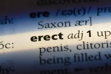 bir sözlüğü'ndeki sözcüğü dik. dik kavramı