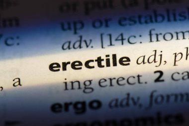 bir sözlüğü'ndeki erektil sözcüğü. erektil kavramı