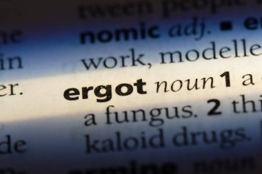 ergot Word'de bir sözlük. ergot kavramı