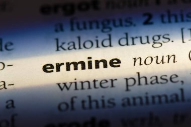 Ermin Word'de bir sözlük. Ermin kavramı