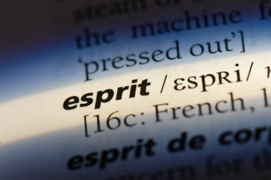 Esprit Word'de bir sözlük. Esprit kavramı