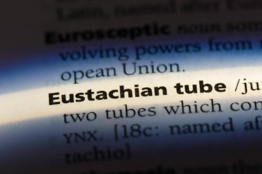 östaki borusu Word'de bir sözlük. östaki borusu kavramı