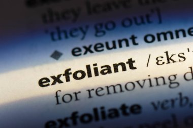 Bir sözlükte deri dökücü bir kelime. deri dökücü kavram