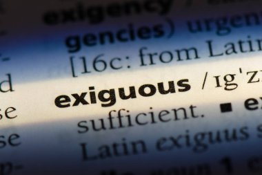 exiguous tek kelimeyle bir sözlük. exiguous kavramı