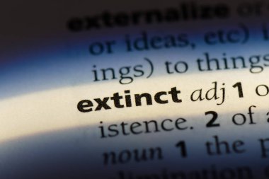 soyu tükenmiş tek kelimeyle bir sözlük. soyu tükenmiş kavramı