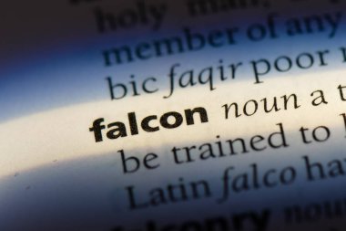 şahin Word'de bir sözlük. şahin kavramı