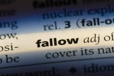 bir sözlüğü'ndeki nadas sözcüğü. nadas kavramı