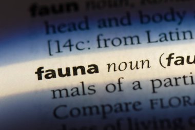 Fauna Word'de bir sözlük. Fauna kavramı