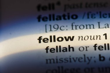 Diğer sözcük sözlüğe. dost kavramı