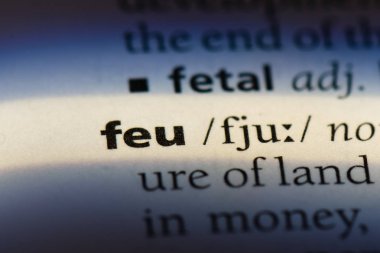 bir sözlüğü'ndeki Feu sözcüğü. Feu kavramı