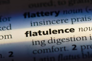 gaz Word'de bir sözlük. gaz kavramı