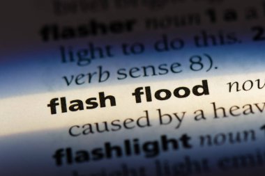 ani sel Word'de bir sözlük. ani sel kavramı