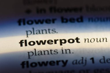 saksı Word'de bir sözlük. saksı kavramı