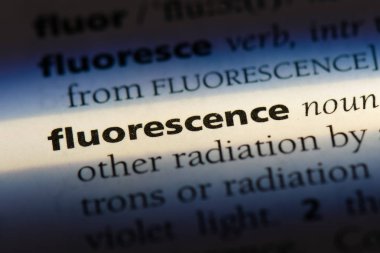 floresans Word'de bir sözlük. floresans kavramı