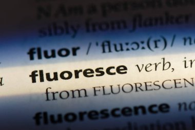 bir sözlüğü'ndeki sözcüğü bulabilsem. kavram bulabilsem