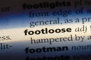 bir sözlüğü'ndeki başıboş sözcüğü. başıboş kavramı