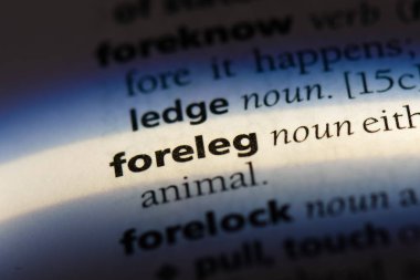 ineklerde Word'de bir sözlük. ineklerde kavramı