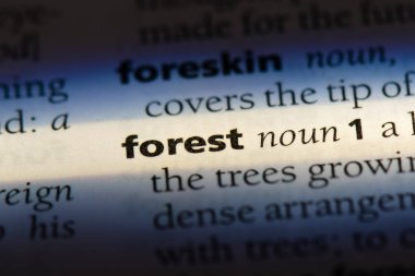 bir sözlüğü'ndeki orman sözcüğü. Orman kavramı