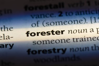 Forester Word'de bir sözlük. Forester kavramı