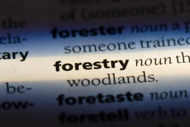 bir sözlüğü'ndeki orman sözcüğü. Ormancılık kavramı